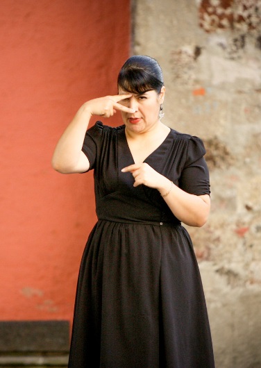 Lengua de Señas Mexicana y Comunidad de Sordos